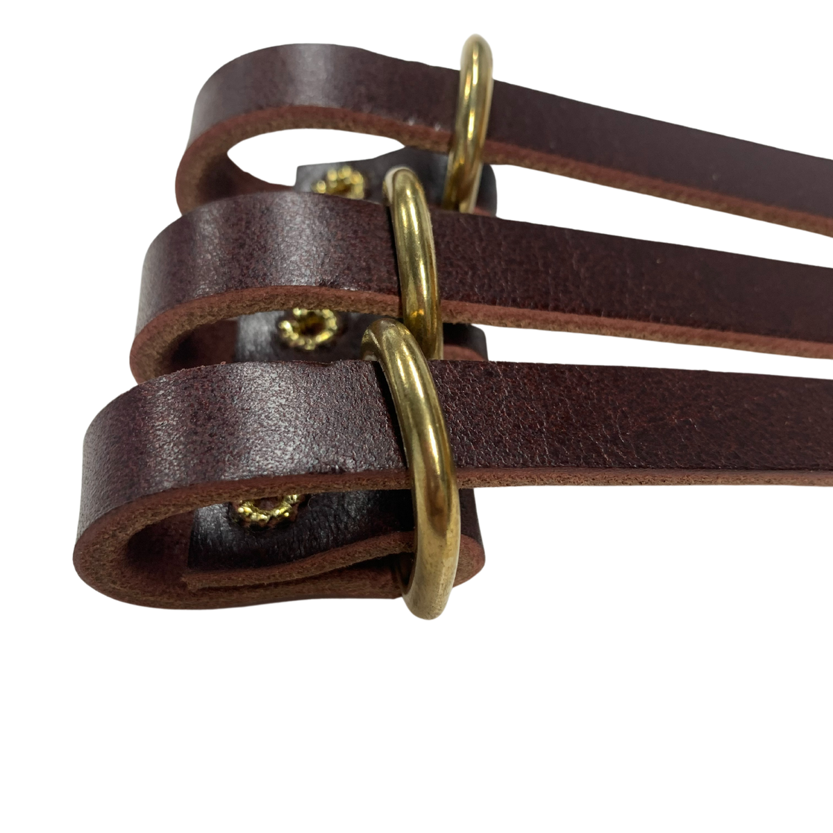 "Pop Series" Duck Holder Lanyard AP Saddlery